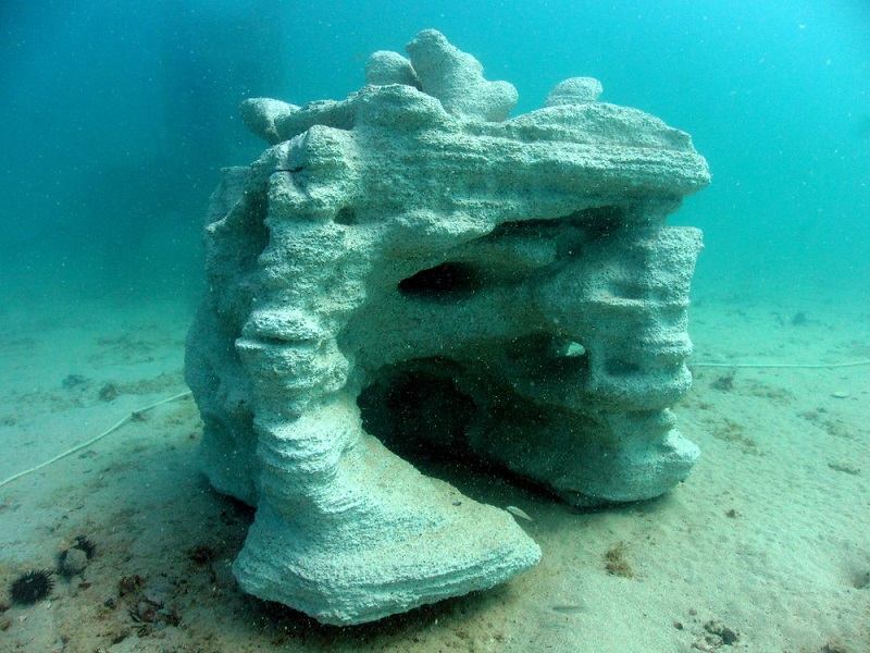 Printed Coral Reefs