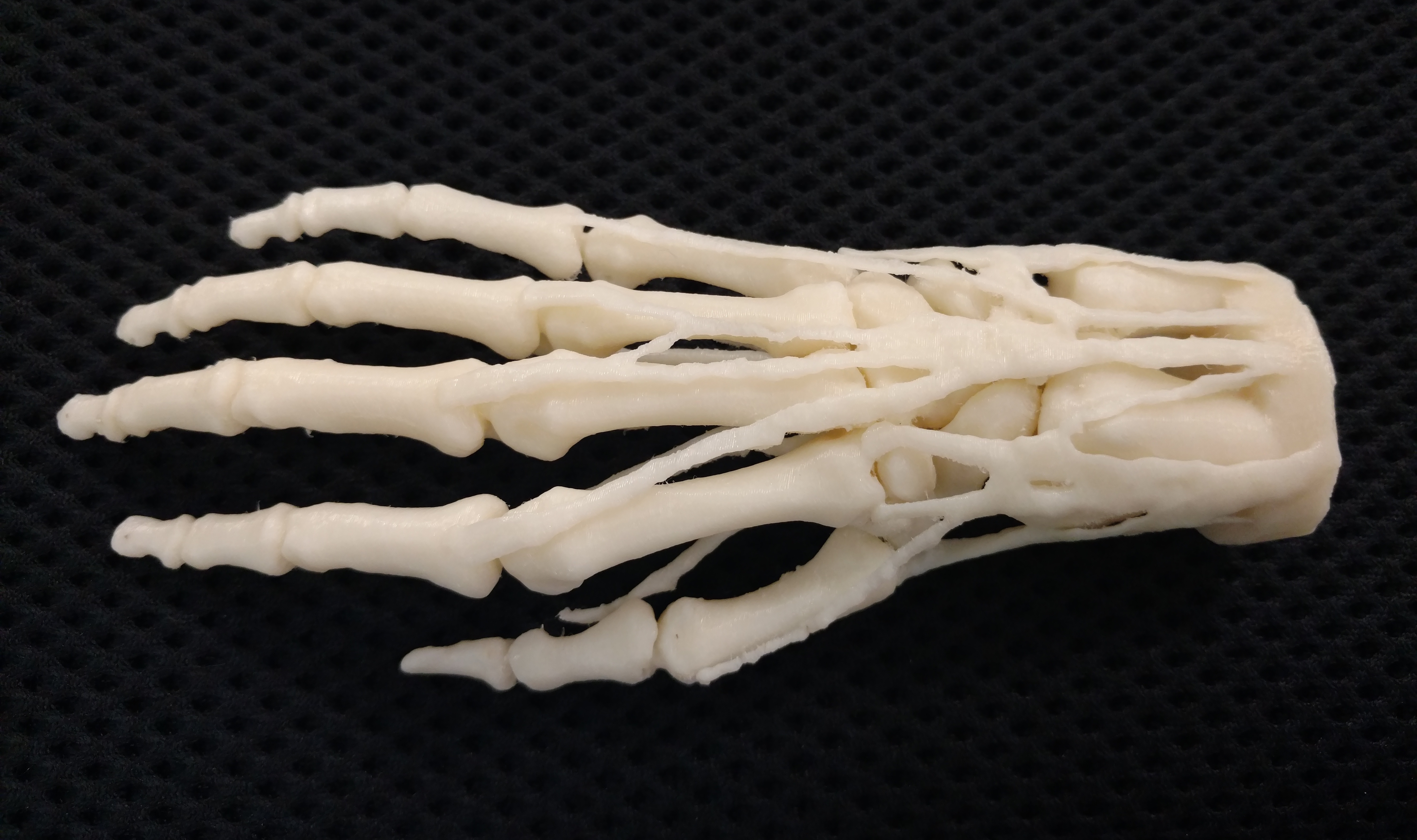 Стерильная кость. Печать костей на 3d принтере. 3д принтер костей. 3d Printed протез “upya”. Кости напечатанные на 3д принтере.
