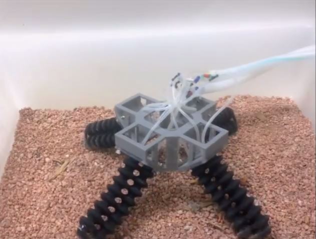 3D-Printed, Soft, Four-Legged Robot Can Walk on Sand and Stone ...